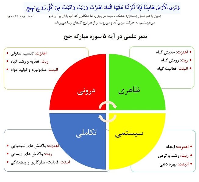 پرونده:Daneh 2.jpg